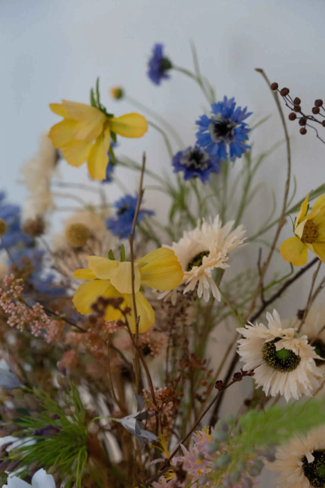 Leefkeuken Groningen | De Keukenkamer